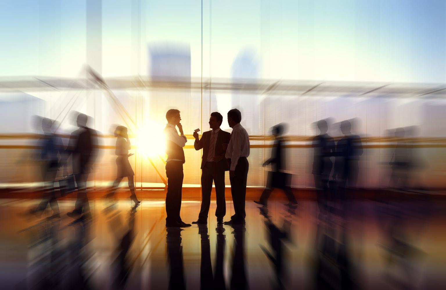 Types of partners in network marketing. How to attract suitable people