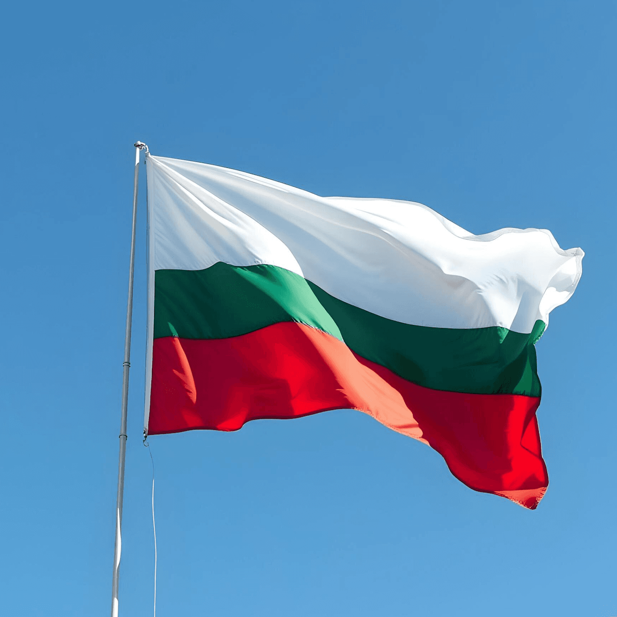 Network Marketing en Bulgaria: Análisis del mercado y principales proyectos de MLM