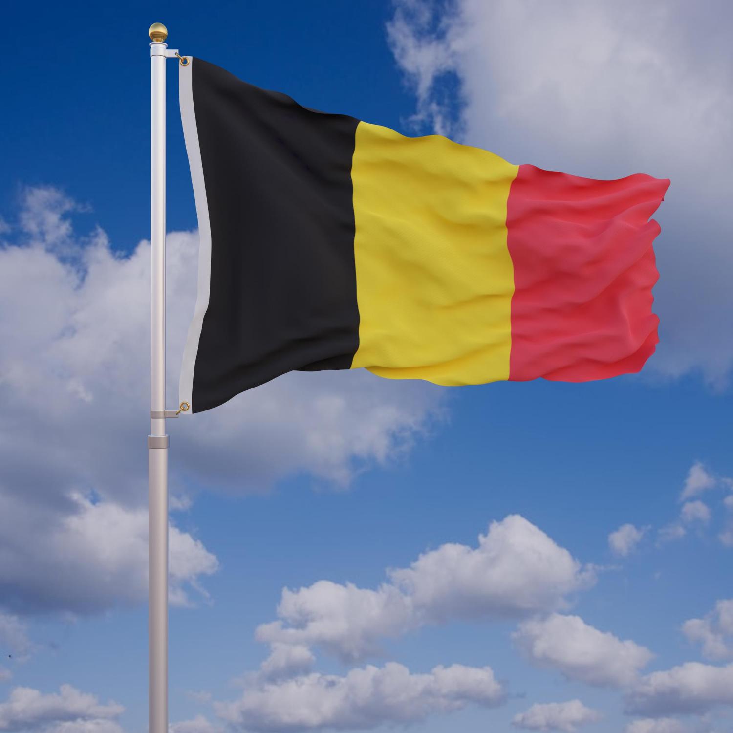 Network Marketing en Bélgica: Legalidad y Top MLM Proyectos