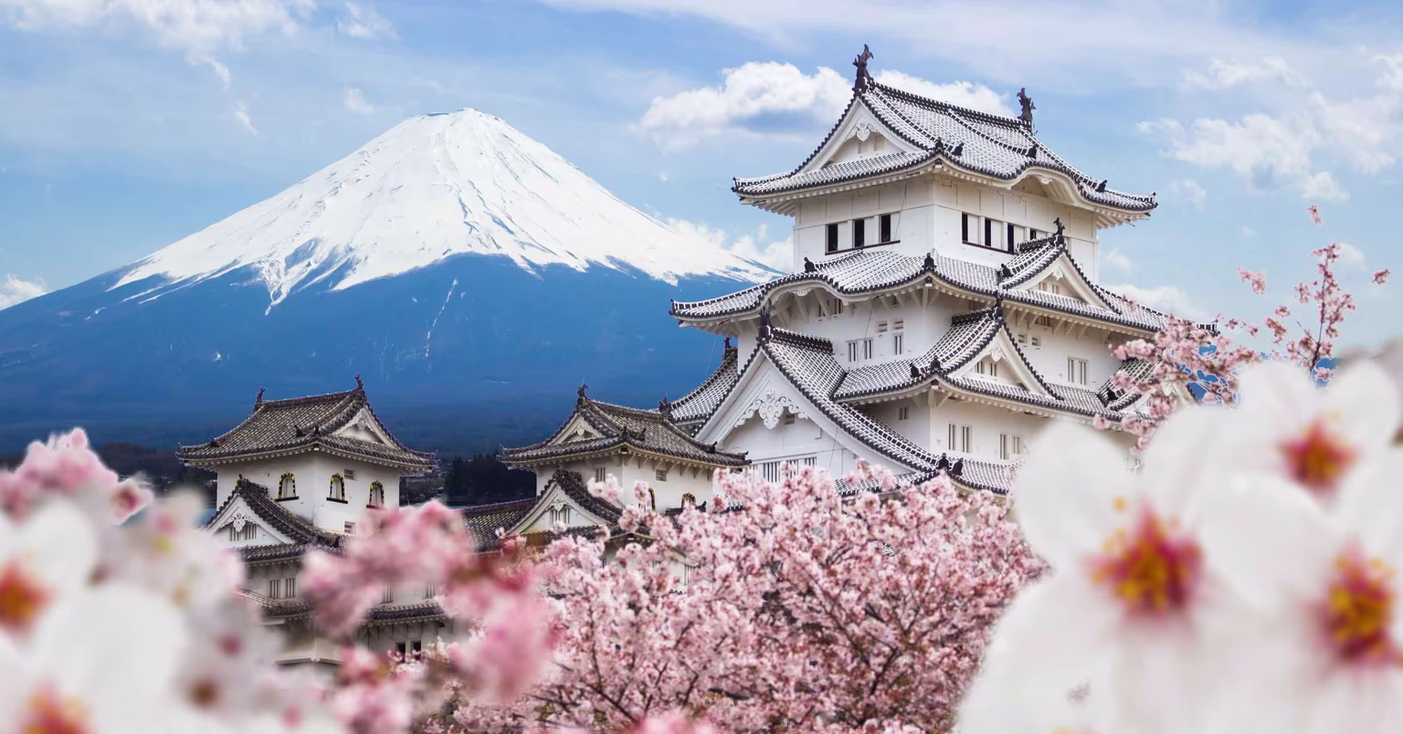 Network Marketing en Japón