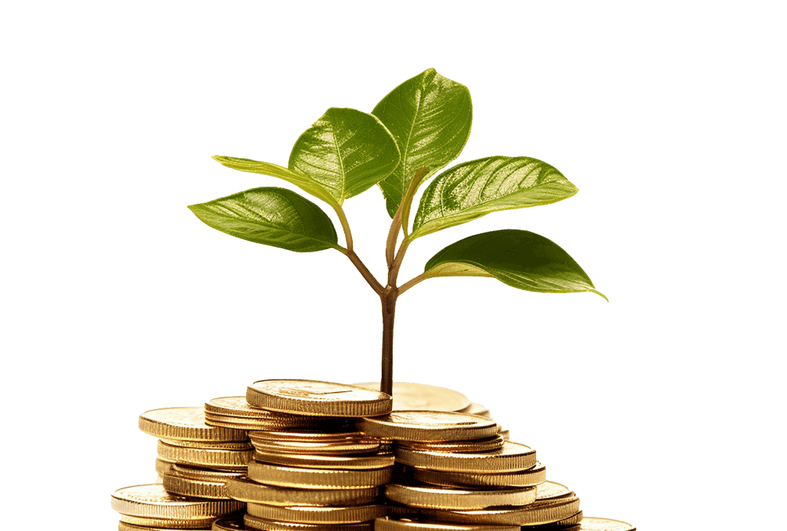 Investments